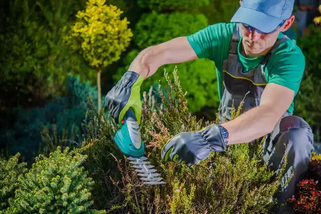 landscaping services Northampton